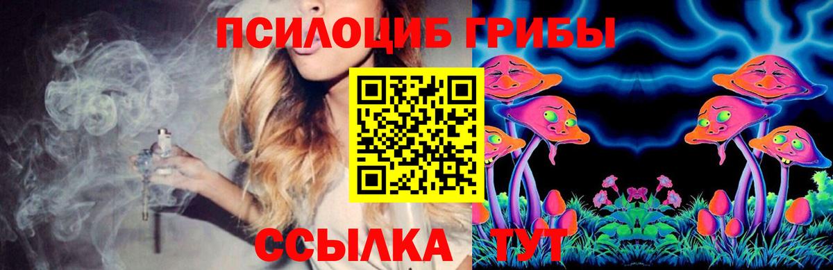 Гусиноозёрск  Галлюциногенные грибы Cubensis  Вход с VPN 